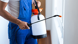 冷門許可照樣可以辦-農(nóng)藥經(jīng)營許可